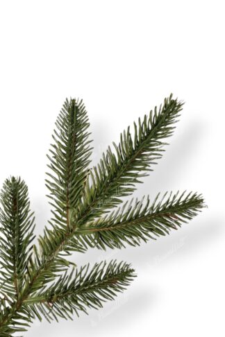 Künstlicher Weihnachtsbaum 3D Kalifornische Fichte,hat natürlich grüne Nadeln