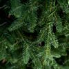 Detailná fotka 3D ihličia a vetvičiek vianočného stromčeka.