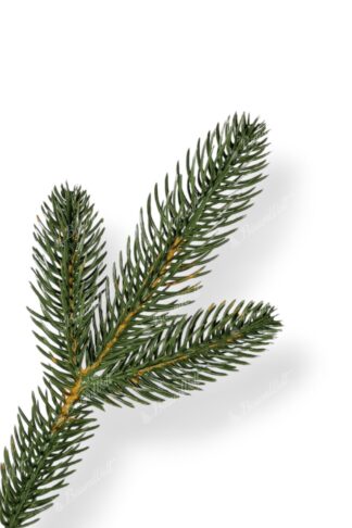 Künstlicher Weihnachtsbaum FULL 3D Kanadische Hemlocktanne, hat natürlich grüne Nadeln