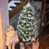 Künstlicher Weihnachtsbaum 3D Kaukasus-Tanne XL 180cm ist dicht mit weißen und silbernen Dekorationen geschmückt