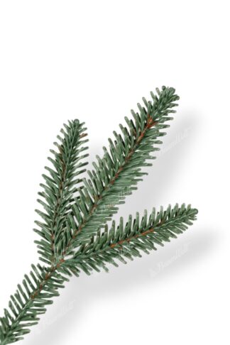 Weihnachtsbaum 3D Weiß-Tanne, hat dichte grün-silbrige Nadeln
