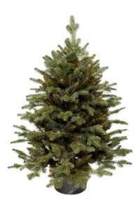 Künstlicher Weihnachtsbaum 3D Smaragd-Tanne im Topf