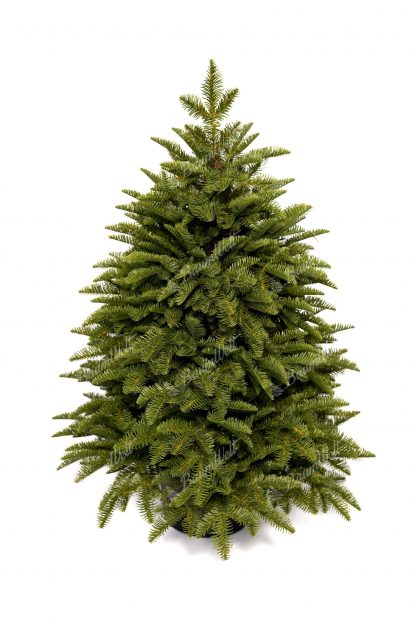 Künstlicher Weihnachtsbaum FULL 3D Mini-Tanne 100cm im Topf