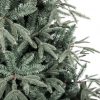 Weihnachtsbaum 3D Weißtanne