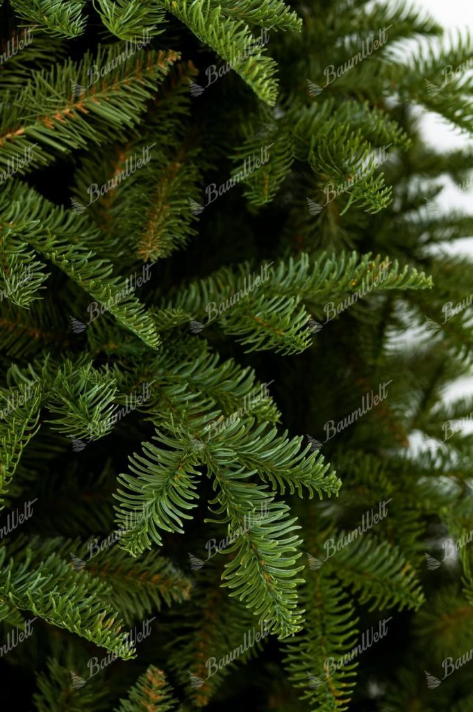 Kűnstlicher weihnachtsbaum 3D Kaukasus Tanne