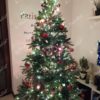 Weihnachtsbaum 3D Weißtanne 210cm