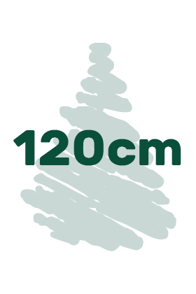výška vianočných stromčekov 120cm ikona