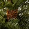 Weihnachtsbaum im Topf 3D-Tanne Natur