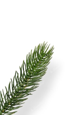 Künstlicher Weihnachtsbaum 100% 3D Mini Fichte LED, hat dichte grüne Nadeln