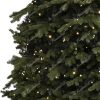 Der riesige Weihnachtsbaum 3D Fichte Exklusiv 400cm LED1776