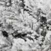 Weihnachtskranz Fichte Tatra Schnee, hat dick verschneite Zweige