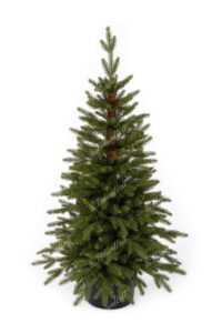 Weihnachtsbaum im Topf 3D Fichte Natur, hat dicke grüne Nadeln und ist getopft