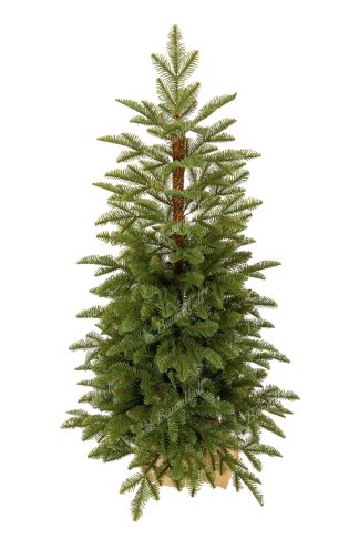 Weihnachtsbaum im Topf 3D-Tanne Natur 120cm, hat dichte hellgrüne Nadeln