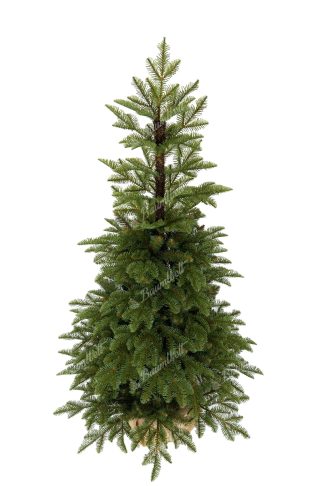 Weihnachtsbaum im Topf 3D-Tanne Natur 150cm, hat dichte hellgrüne Nadeln