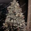 Künstlicher Weihnachtsbaum 3D Polarfichte 150cm, ist mit rosa und weißen Dekorationen verziert