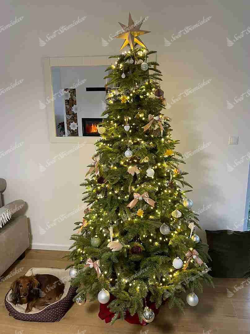 Umelý vianočný stromček 3D Jedľa Kaukazská 210cm, stromček má husté zelené ihličie a je ozdobený bilmyi a striebornými ozdobami