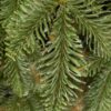 Künstlicher Weihnachtsbaum 3D Kaukasus-Tanne Schmal Detail der Nadeln