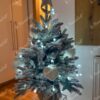 Weihnachtsbaum im Topf 3D-Königsfichte 80cm