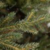 Künstlicher Weihnachtsbaum 3D Irische Fichte 180cm