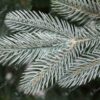 Künstlicher Weihnachtsbaum FULL 3D Edle Fichte 210cm