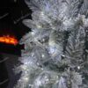 NANO LED-Weihnachtslichter für den Weihnachtsbaum in Kaltweiß 48m 1600LED