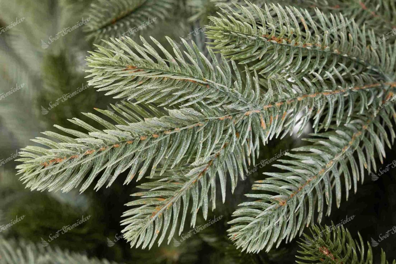 Umelý vianočný stromček 3D Smrek Vznešený Svetlý 250cm