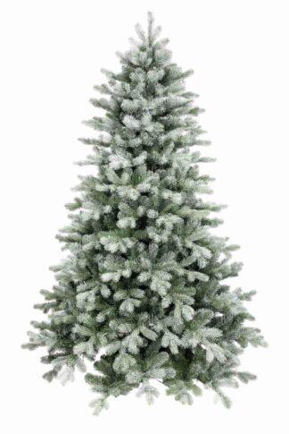 Weihnachtsbaum 3D Graukiefer